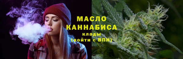 индика Иннополис