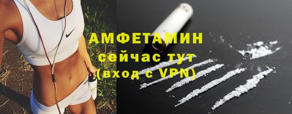 прущие грибы Беломорск