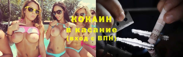 прущие грибы Беломорск
