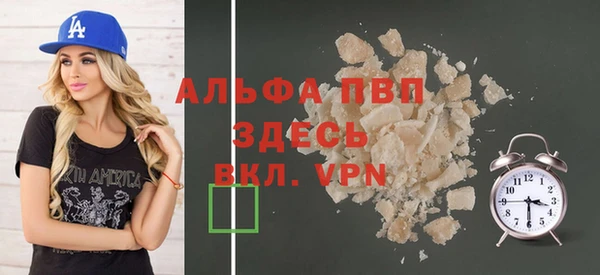 прущие грибы Беломорск