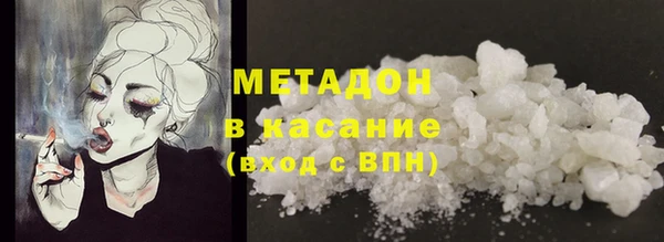 прущие грибы Беломорск