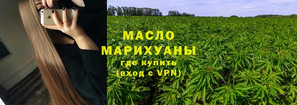 индика Иннополис