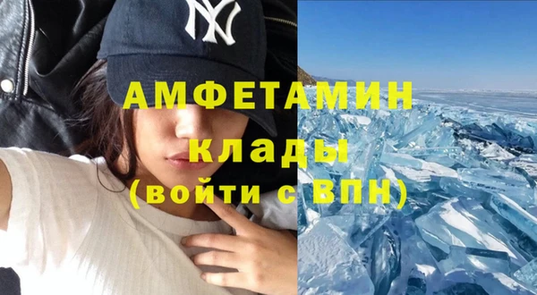 прущие грибы Беломорск