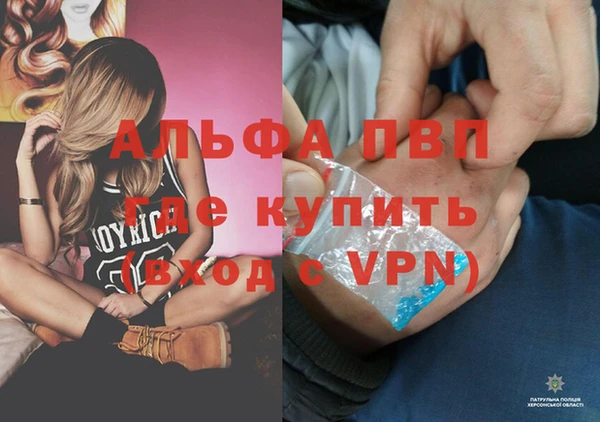 прущие грибы Беломорск
