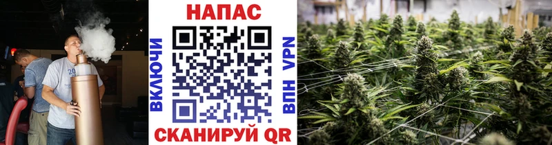 Шишки марихуана сатива  Верхотурье 
